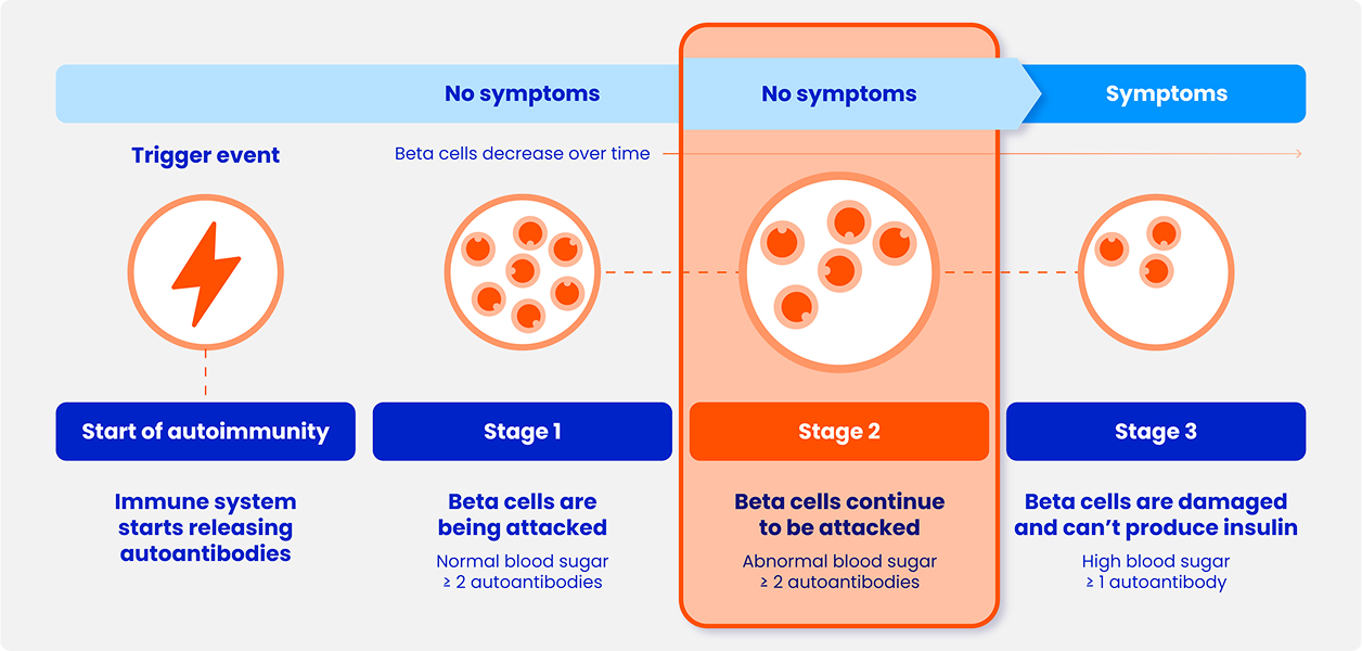 Insulin is like a key that unlocks cells to let sugar in.